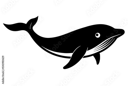 vector illustration of a cartoon shark