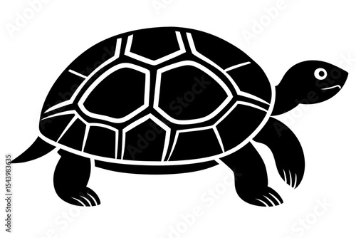 turtle vector illustration