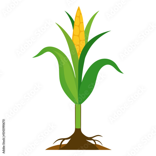 Wallpaper Mural Vector art illustration of a corn plant Torontodigital.ca