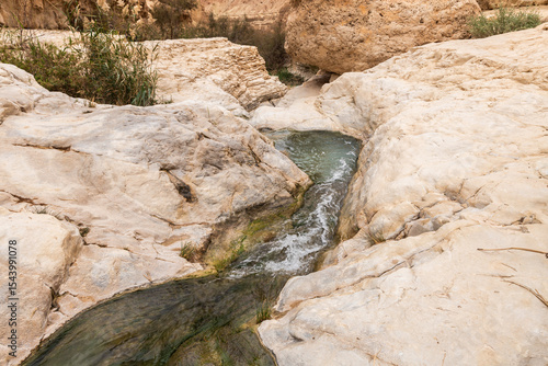 Shallow  mountain river flows along the winding channel in Arugot Stream Nature Reserve near Dead Sea in the southern Israel