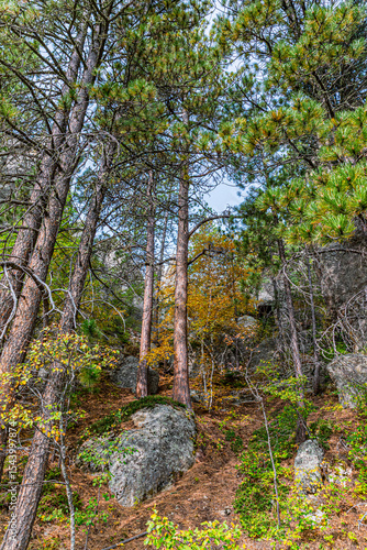 Steep and rocky and forested slopes define much of the habitat at Custer Stat...