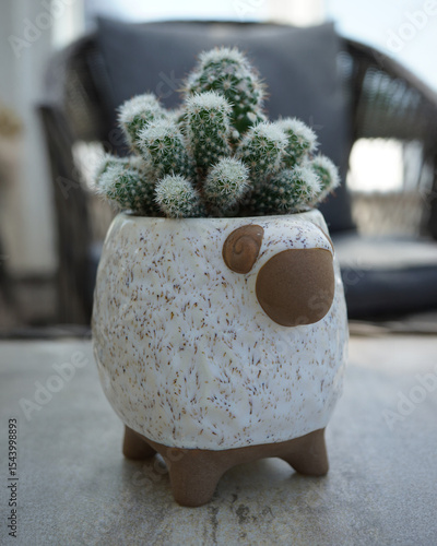 Cute Cactus in Sheep-Shaped Ceramic Pot – Indoor Plant Decor