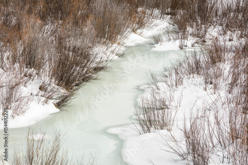 USA, Wyoming, Grand Teton National Park, Jackson. Ice and willows on Pacific ...