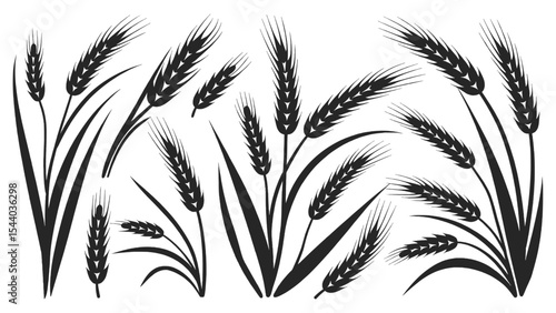 Wheat Ears and Grain Stalks Silhouette Vector Collection, Ideal for Bakery, Agriculture, Harvest, Food Packaging, and Natural Organic Product Design Elements