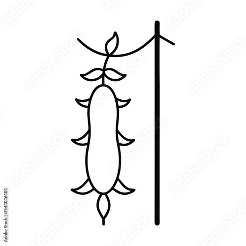 cucumber wrapping trellis in vertical line style Vector illustration