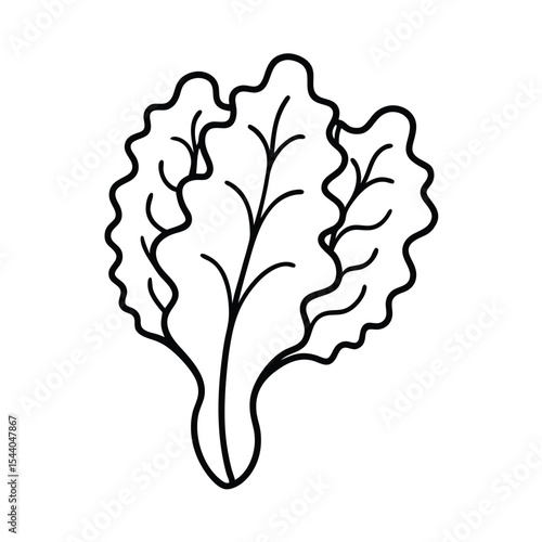 curly kale leaves in flowing sketchy line art Vector illustration