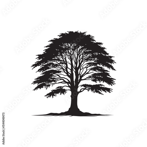 Beech tree Vector (2).eps