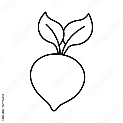 delicate radish with leafy top in outline form Vector illustration
