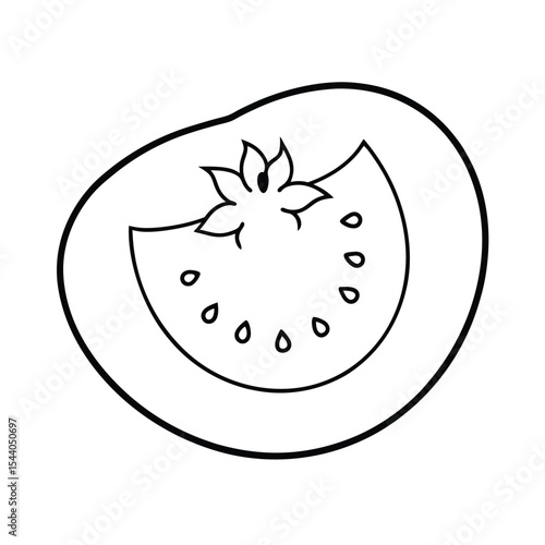 tomato slice with seeds in radial line artwork Vector illustration