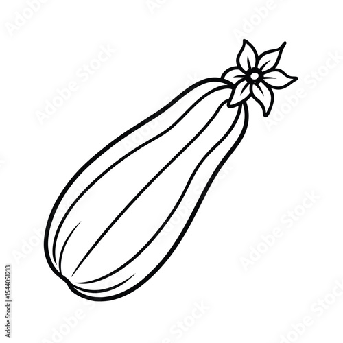 zucchini with flower in stylized line artwork Vector illustration