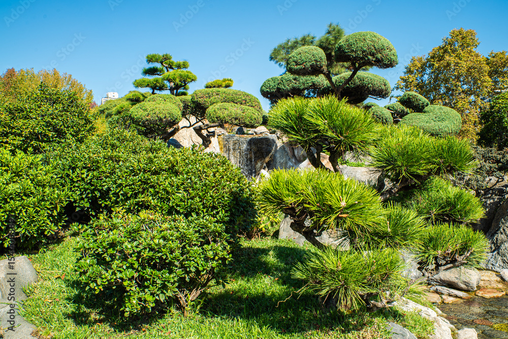 Obraz premium A rock garden with a waterfall and a pond