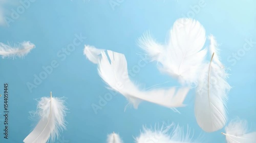 Delicate white feathers falling gently on a soft, light blue background create a serene and dreamy floating feather composition.