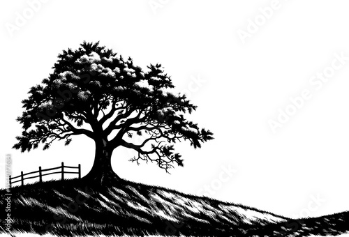 A large tree on a hill with a small fence in woodcut style in black and white