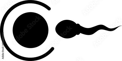 Fertilization sperm and ovum egg black color icon. Perfect for reproduction explanation and education.