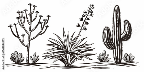 Black and white desert plants illustration with cactus yucca tree vector graphic design art