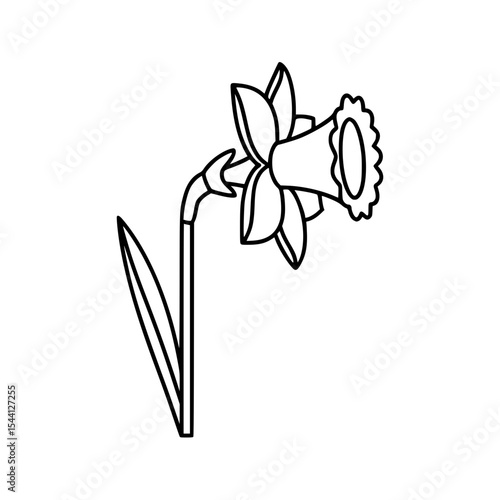Line icon of a Narcissus flower in minimalistic black and white design  