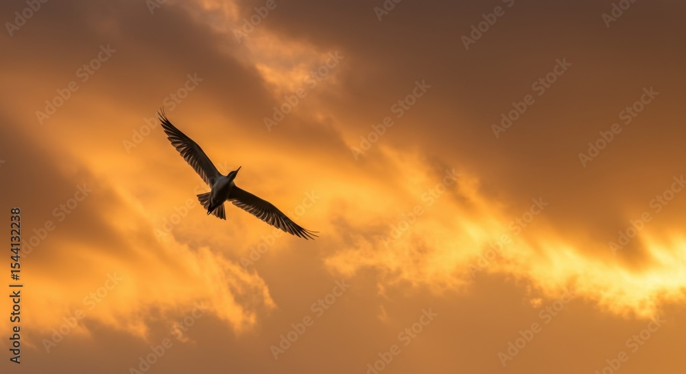 Majestic Silhouette of a Bird Soaring Through a Golden Sunset Sky: A Breathtaking Aerial View of Freedom and Serenity Majestic Silhouette of a Bird Soaring Through a Golden Sunset Sky: A Breathtaking Aerial View of Freedom and Serenity