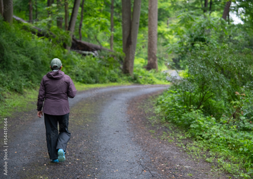 Fototapeta premium A woman walking alone on a forest road enjoying the serenity and solitude of being in nature