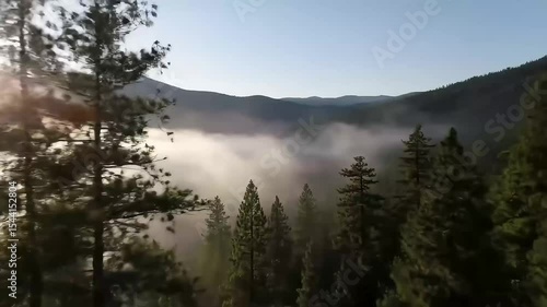 Rolling Fog Over Mountain Valley at Sunrise