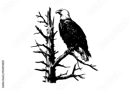 Bald Eagle hand drawn sketch vector illustration