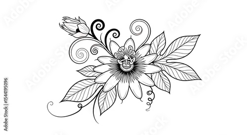 Elegant Passionflower: An exquisite line art illustration of a passionflower, showcasing delicate petals and intricate details. This artwork captures the beauty of nature's design.