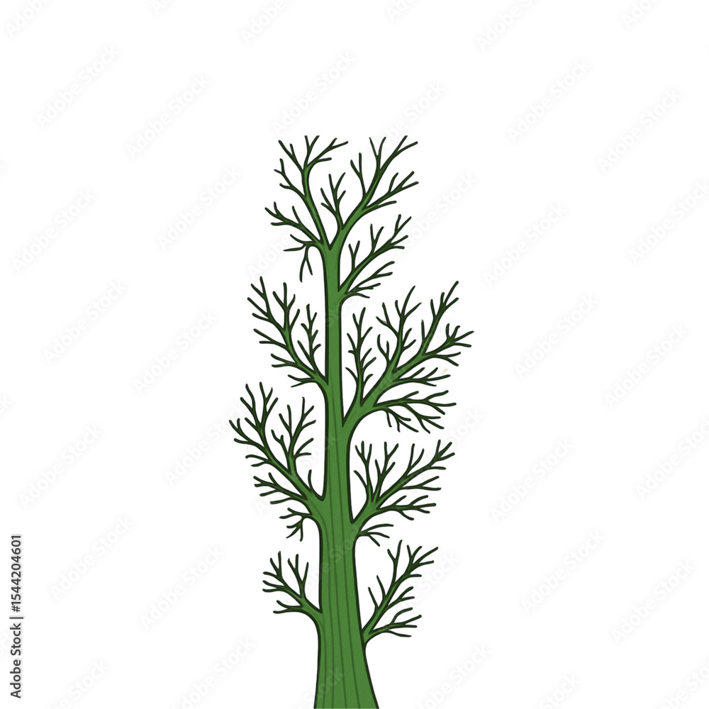 Fototapeta premium fresh dill isolated on white background