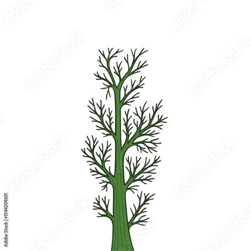 fresh dill isolated on white background