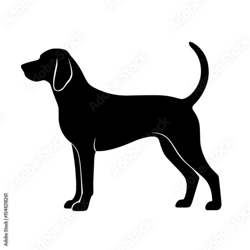Silhouette of Bluetick Coonhound Standing Proudly with Tail Curled