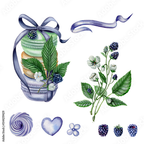 Lilac watercolor clip art: sweets, bows, berries etc. Blackberry branch with flowers, macaroons, heart and other girly design elements. 