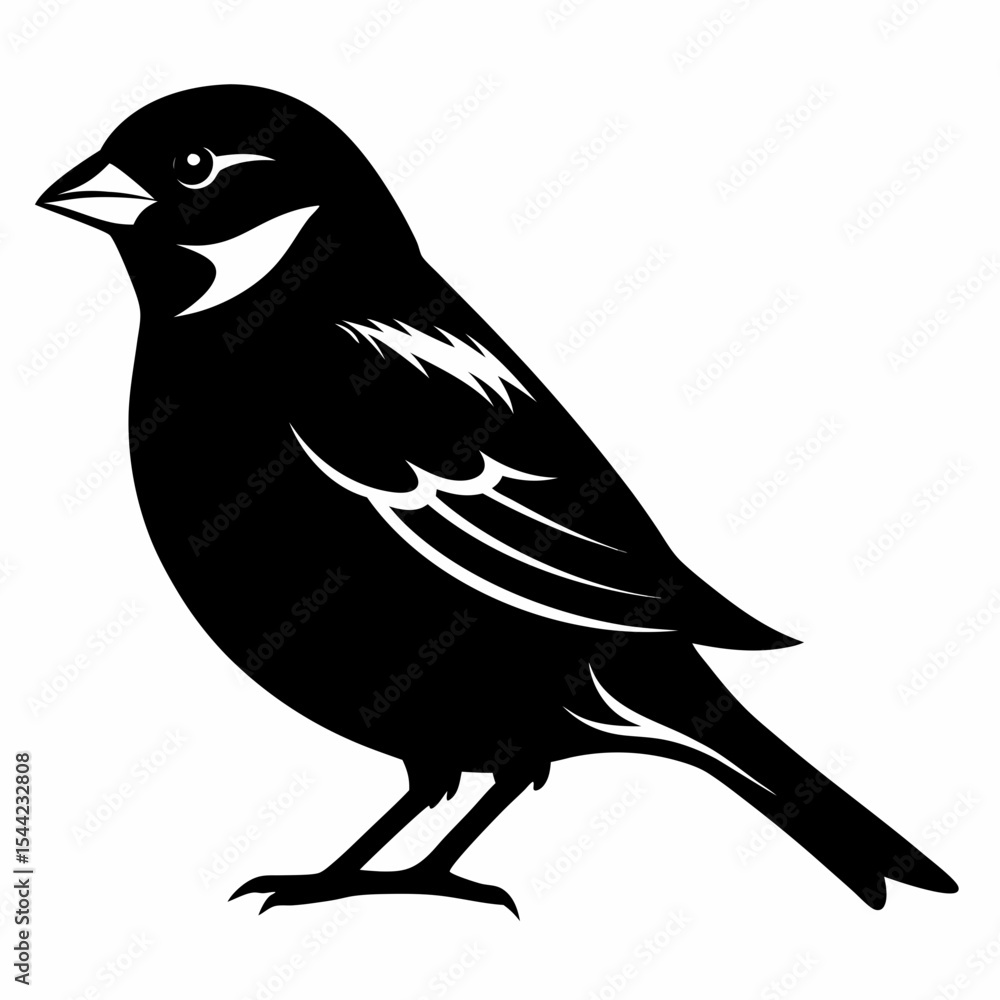 Obraz premium sparrow silhouette vector black on white background
