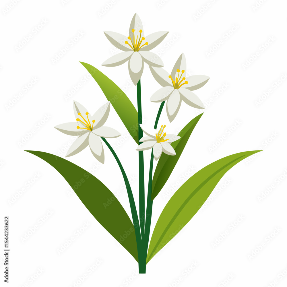 Naklejka premium anthericum vector illustration on white background