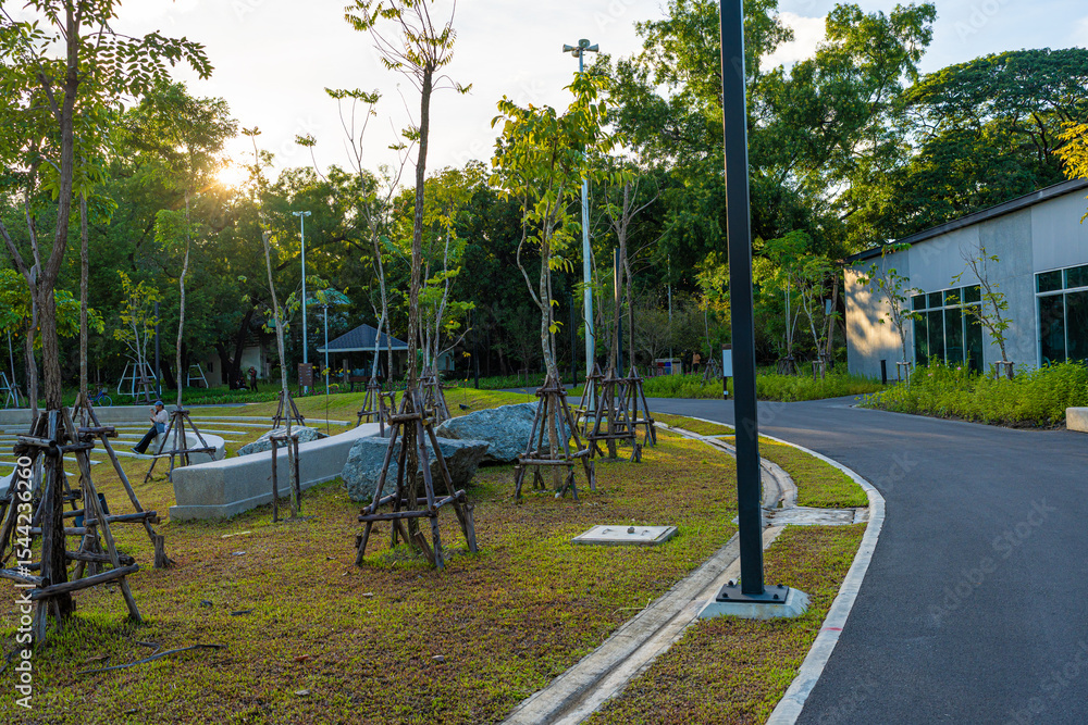 Obraz premium Walk and run asphalt road in city public park