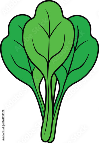Cartoon illustration of fresh green spinach leaves bunch