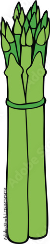 Fresh green asparagus bundle illustration for cookbook or menu