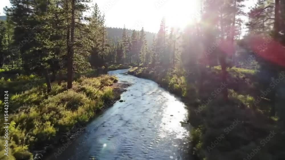 Serene River Flowing Through Lush Forest A Stunning Aerial View of Nature's Beauty. 4k Video Serene River Flowing Through Lush Forest A Stunning Aerial View of Nature's Beauty. 4k Video