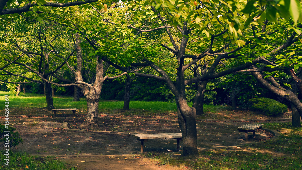 Naklejka premium 花見川緑地 千葉市美浜区