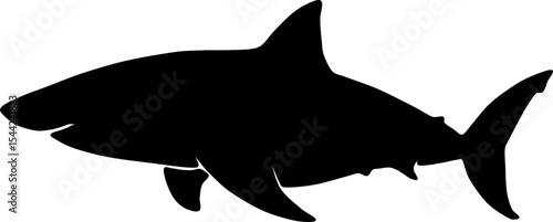silhouette of a shark