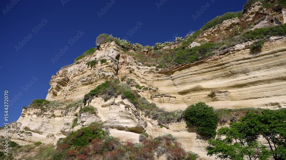 Vegetation growing on layered sandstone cliff face in Capo Vaticano, Calabria, Italy Vegetation growing on layered sandstone cliff face in Capo Vaticano, Calabria, Italy