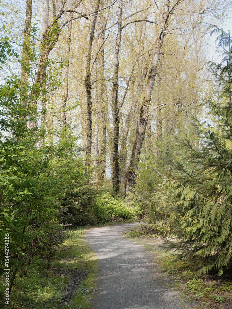 Fototapeta premium Great Blue Heron Nature Reserve during a spring season in Chilliwack, British Columbia, Canada