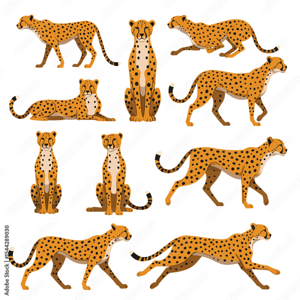 Obraz premium A collection of cheetahs in various poses each with distinct markings and body positions