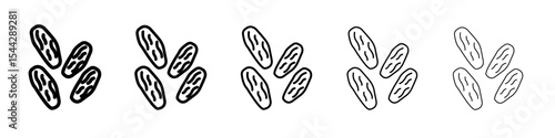 Arab date fruit icon black and white vector sign