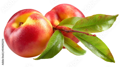 Wallpaper Mural Juicy Nectarines Fresh from the Branch, Torontodigital.ca