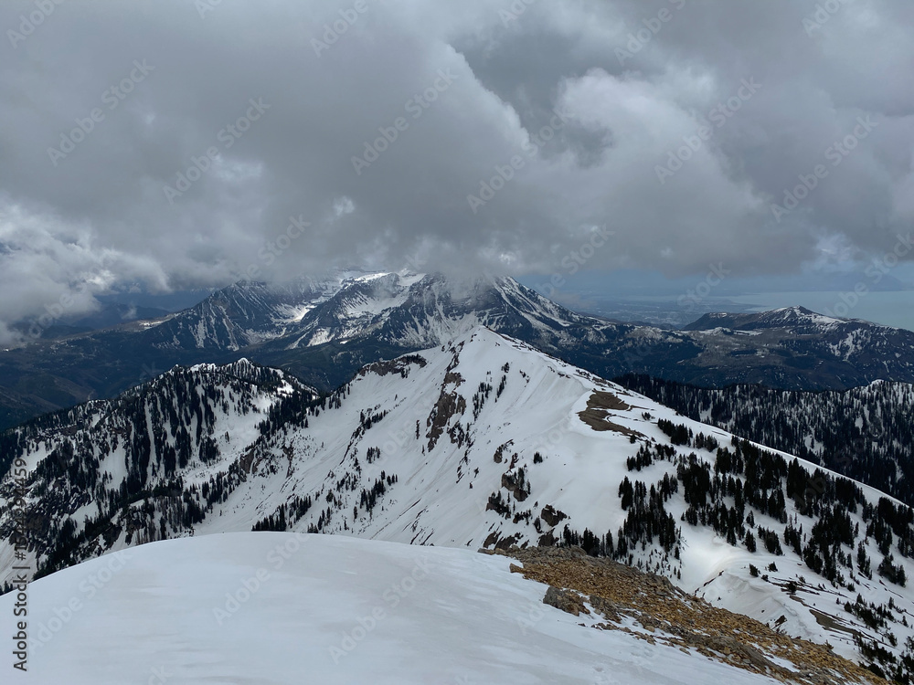 Fototapeta premium Spring in the Mountains