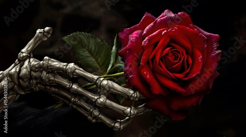 red rose on black background.Red Rose Held by Skeleton Hand: A Gothic Study of Beauty and Mortality.