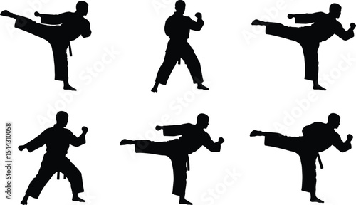 Vector illustration of martial arts silhouettes, karate fighters in action poses, self defense moves, kick and punch techniques, combat training
