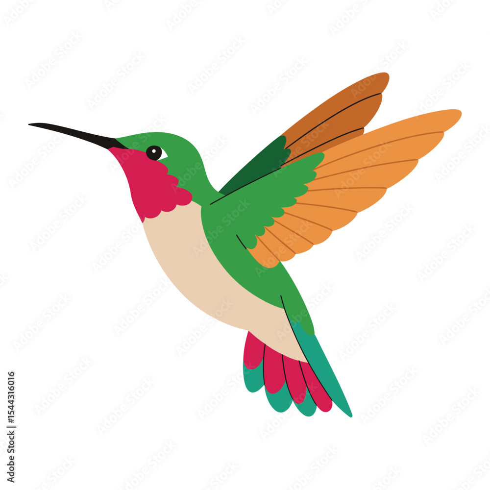 Obraz premium Hummingbird vector art illustration