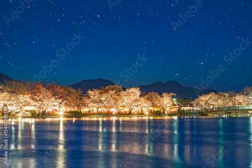 臥竜公園の夜