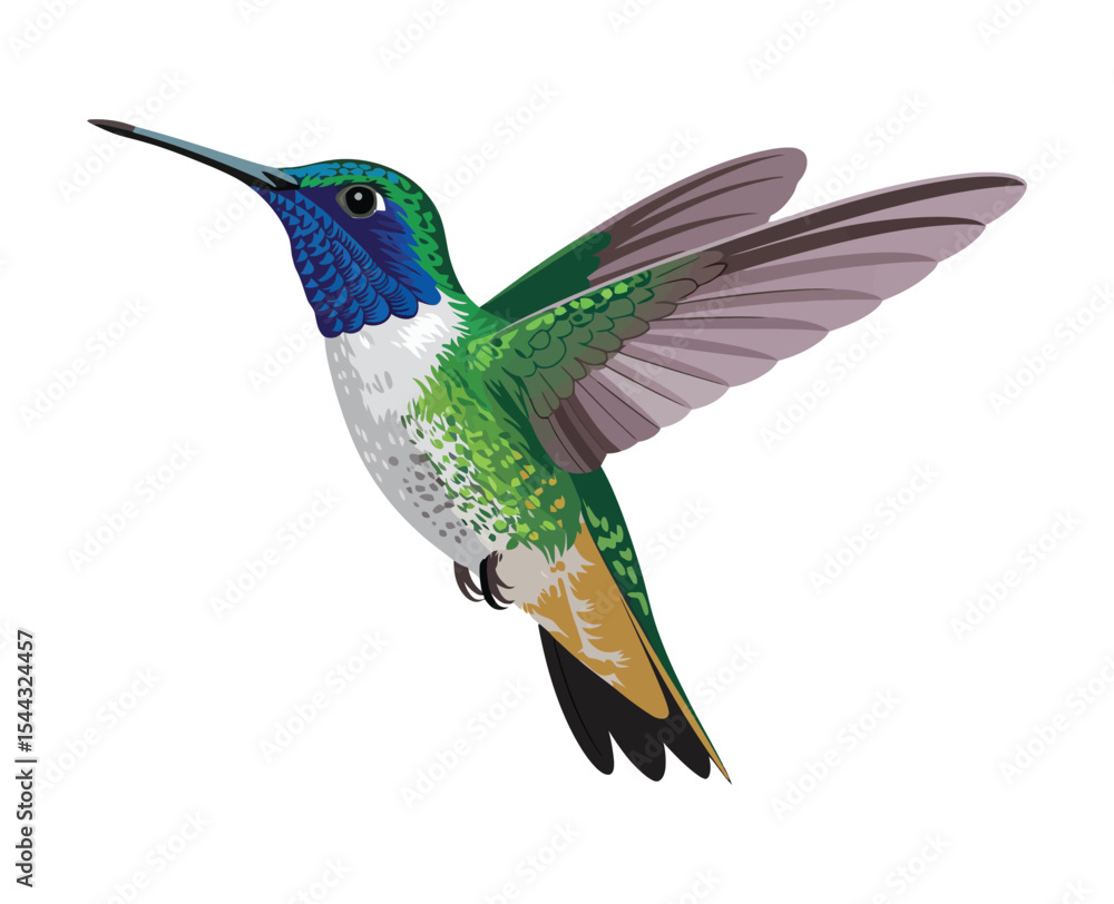 Fototapeta premium A photorealistic digital illustration of a hummingbird in mid-flight against a pure white 