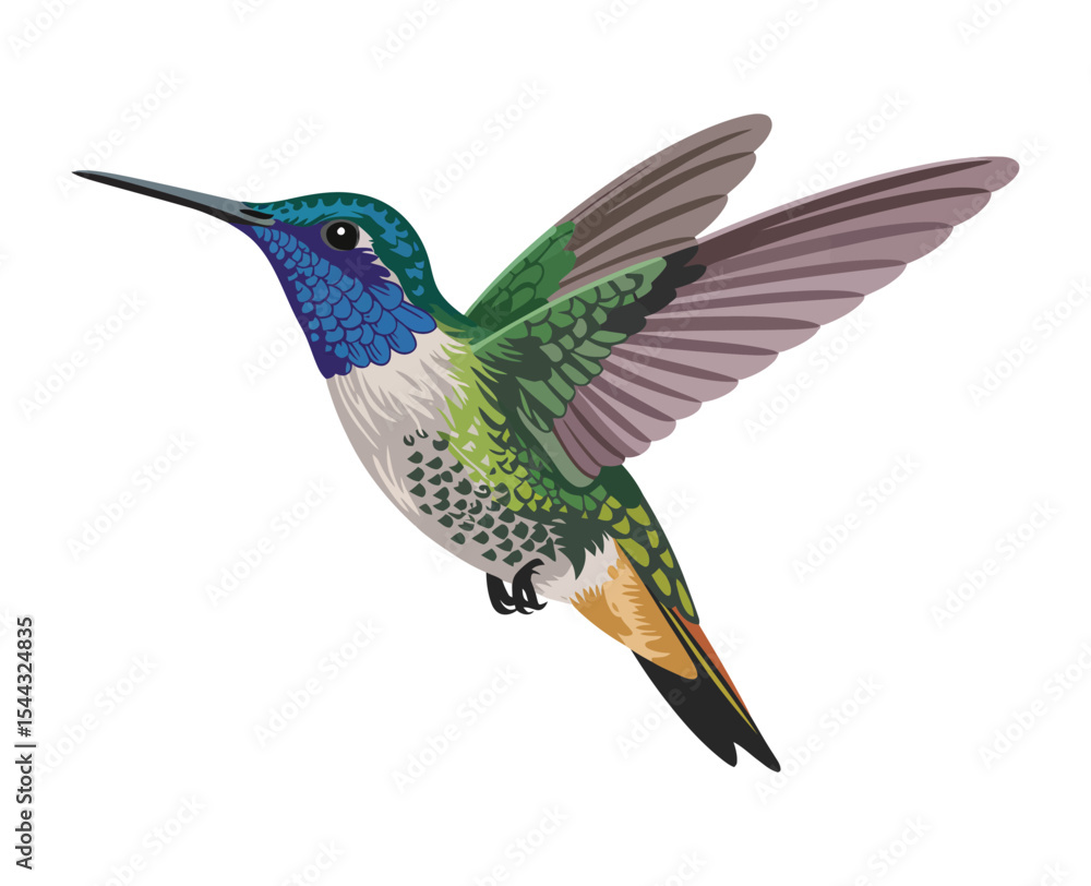 Obraz premium Photorealistic hummingbird in flight on a clean white background