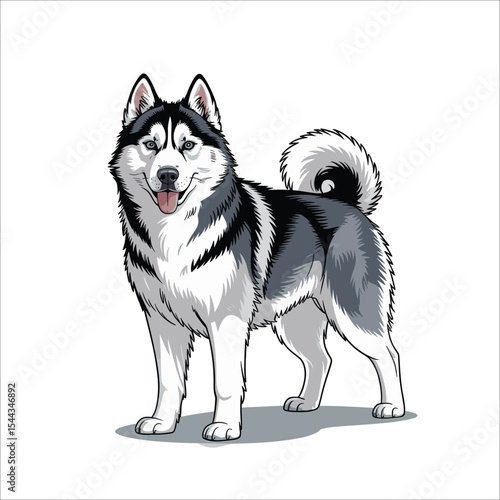 Vector illustration of Siberian Husky standing